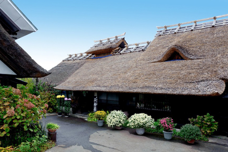 漬物 晩菊 130g 2袋 [三奥屋 山形県 高畠町 tk06ays620000]