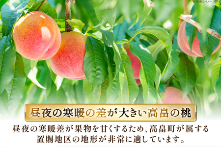 【期間限定発送】 高畠町産 桃 6～10玉 3kg [JA山形おきたま 山形県 高畠町 tk06ays870044]
