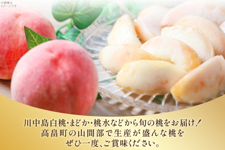 【期間限定発送】 高畠町産 桃 6～10玉 3kg [JA山形おきたま 山形県 高畠町 tk06ays870044]