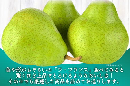 【期間限定発送】 詰め合わせ 高畠町産 ラ・フランス 3玉 ジュース 720ml 1本 セット [JA山形おきたま 山形県 高畠町 tk06ays870039]