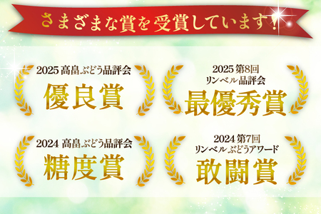 【期間限定発送】 シャインマスカット 3〜4房 満杯詰め 約2kg [本田農園 山形県 高畠町 tk06ays820002]