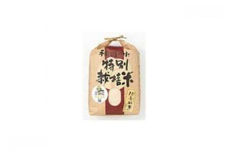 農家直送！令和6年産 はえぬき 山形県庄内産 白米20kg 新米
