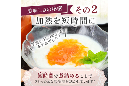 ジャム 果実60%のアプリコットジャム 290g 5個 セット [成城石井酒販 山形県 高畠町 tk06ayt090003]
