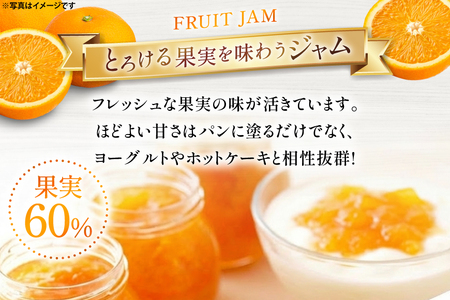 ジャム 果実60%のオレンジマーマレード 290g 5個 セット [成城石井酒販 山形県 高畠町 tk06ayt090005]