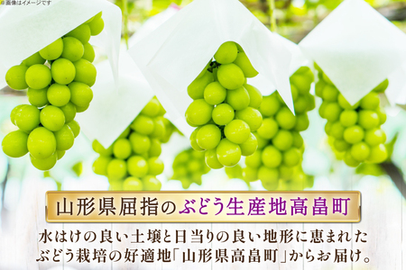 【期間限定発送】 ぶどう 2～3色 約 1.8kg 詰め合わせ セット [JA山形おきたま 山形県 高畠町 tk06ays870056]