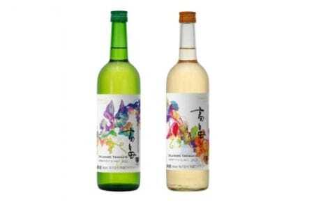 《先行予約 10月中旬配送》 高畠ワイナリー 新酒 辛口 & 甘口 720ml 2本セット F20B-625