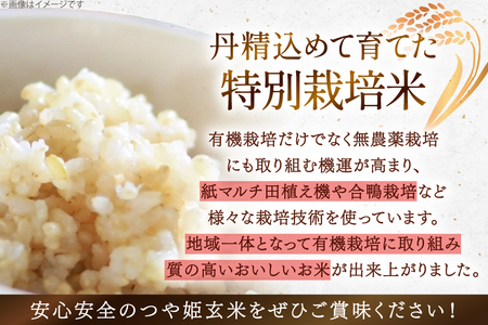 令和7年度 特別栽培米 つや姫 玄米 2kg [上和田有機米生産組合 山形県 高畠町 tk06ays640011]