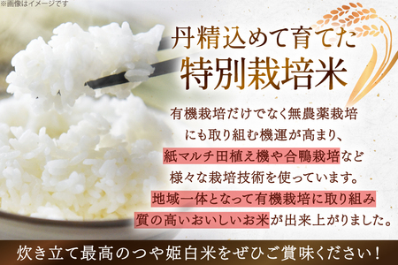 令和7年度 特別栽培米 つや姫 白米 2kg [上和田有機米生産組合 山形県 高畠町 tk06ays640001]