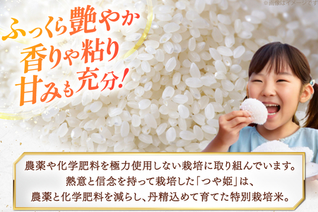 令和7年度 特別栽培米 つや姫 白米 5kg [上和田有機米生産組合 山形県 高畠町 tk06ays640013]