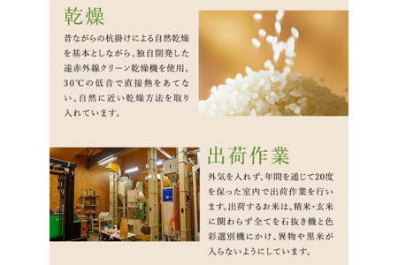 令和7年度 特別栽培米 つや姫 白米 5kg [上和田有機米生産組合 山形県 高畠町 tk06ays640013]