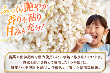 令和7年度 特別栽培米 つや姫 胚芽精米 5分搗き米 5kg [上和田有機米生産組合 山形県 高畠町 tk06ays640014]