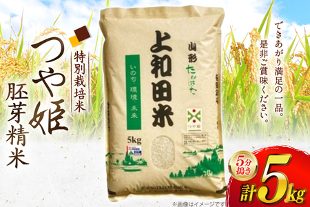 令和7年度 特別栽培米 つや姫 胚芽精米 5分搗き米 5kg [上和田有機米生産組合 山形県 高畠町 tk06ays640014]