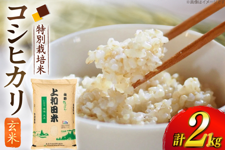 令和7年度 特別栽培米 コシヒカリ 玄米 2kg [上和田有機米生産組合 山形県 高畠町 tk06ays640015]