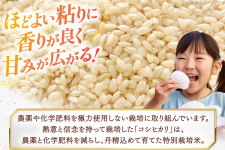 令和7年度 特別栽培米 コシヒカリ 玄米 2kg [上和田有機米生産組合 山形県 高畠町 tk06ays640015]