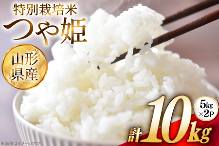 米 令和7年 特別栽培米 つや姫 5kg 2P 計 10kg [JA山形おきたま 山形県