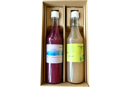 ぶどう ジュース 2種 （赤・白） 各500ml [大野農園 Rapporti 山形県 高畠町 tk06ayt050007]