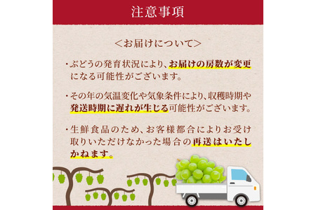 【期間限定発送】 シャインマスカット 1房 約800g [治右衛門果樹園 山形県 高畠町 tk06ays830002]