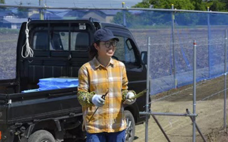 【令和8年産】先行受付!春芽アスパラガス約1kg(L～2Lサイズ 25～45本前後)_野菜 アスパラガス  _【配送不可地域：離島・北海道・沖縄県・信越、北陸・東海・近畿・中国・四国・九州】【1470202】