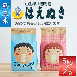 令和6年産　はえぬき10kg(5kg×2袋)【無洗米】【1567622】