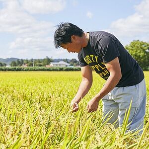 令和6年産　はえぬき10kg(5kg×2袋)【無洗米】【1567622】