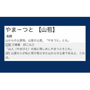 令和6年川西町産　特別栽培米(農薬・化学肥料栽培期間中不使用 )つや姫　YAMAZUTO　玄米4kg【1576928】