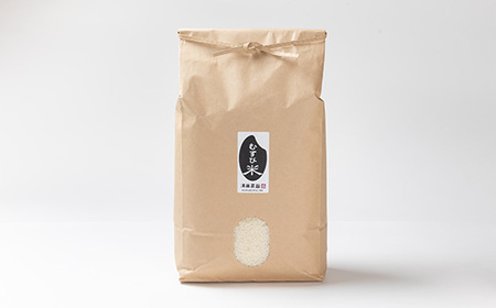 令和7年産 コンクール受賞農家直送 山形県産つや姫10kg【浦田農園 むすび米】_ 精米 米    つや姫 米 _【1580609】