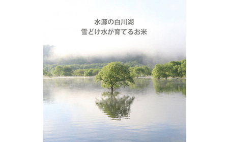 令和7年産 コンクール受賞農家直送 山形県産つや姫10kg【浦田農園 むすび米】_ 精米 米    つや姫 米 _【1580609】