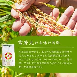 令和7年産　山形県産　雪若丸　玄米　10kg(5kg×2袋)【1660788】