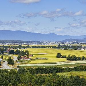 【毎月定期便】山形県産　はえぬき　精米　5kg全6回【4074791】