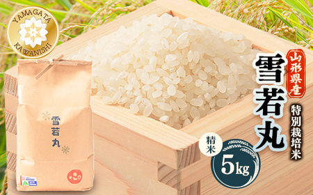 【令和7年産】特別栽培雪若丸　精米 5kg【1676081】