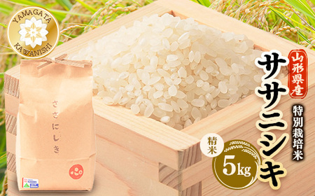 【令和7年産】特別栽培ササニシキ　精米 5kg【1676082】