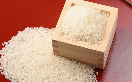 【令和7年産】特別栽培ササニシキ　精米 5kg【1676082】