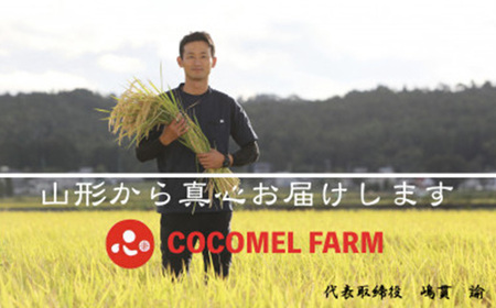 【令和7年産】特別栽培ササニシキ　精米 5kg【1676082】