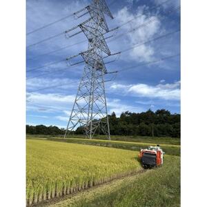 【令和7年産】 山形県産【雪若丸】精米 20kg(20kg×1袋)【1672674】