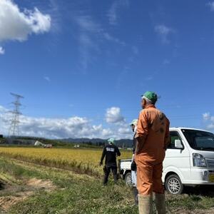 【令和7年産】 山形県産【雪若丸】精米 20kg(20kg×1袋)【1672674】