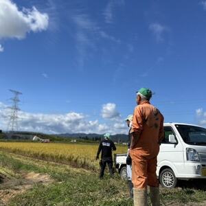 【令和7年産】山形県産【つや姫】精米 20kg(20kg×1袋)【1672679】