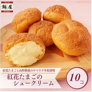 紅花たまごのシュークリーム10個入り【配送不可地域：離島】【1676249】