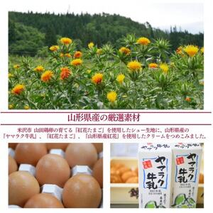 紅花たまごのシュークリーム10個入り【配送不可地域：離島】【1676249】