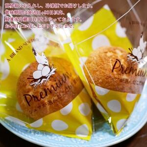 紅花たまごのシュークリーム10個入り【配送不可地域：離島】【1676249】