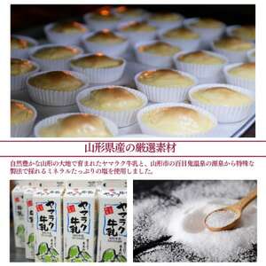 ヤマラク牛乳の塩チーズフォンデュ5個入【1676250】