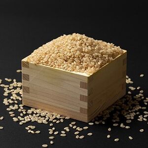 【令和7年産】栽培期間中農薬不使用米 つや姫玄米 10kg【1683657】