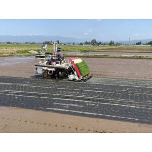 【令和7年産】栽培期間中農薬不使用米 つや姫玄米 10kg【1683657】