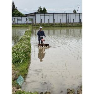 【令和7年産】栽培期間中農薬不使用米 つや姫玄米 10kg【1683657】