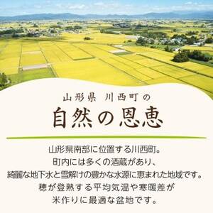 【毎月定期便】山形県産特別栽培米「つや姫」10kg(5kg×2袋)全3回【4076722】