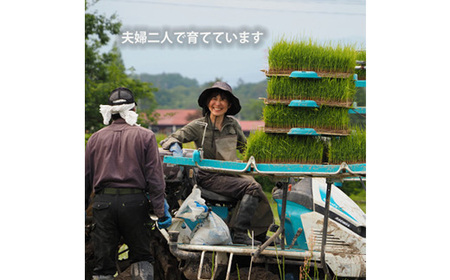 山形県産つや姫2kg 精米 令和7年産 コンクール受賞農家直送 【浦田農園】【1697249】