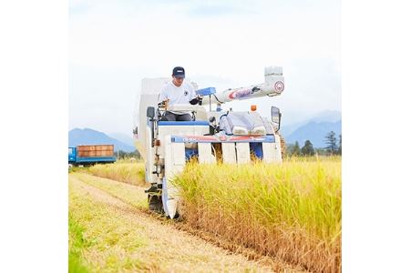 【2024年産　先行受付】山形県産　つや姫・雪若丸　計10kg【1120498】