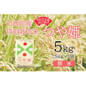 令和5年産 つや姫5kg 精米 真空パック詰【1121434】 | 山形県川西町