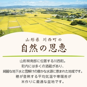 令和6年産　山形県産　雪若丸　10kg(5kg×2)【1144534】