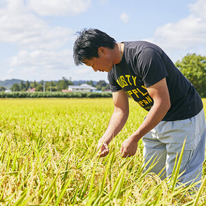 令和6年産　山形県産　はえぬき　10kg【1144537】