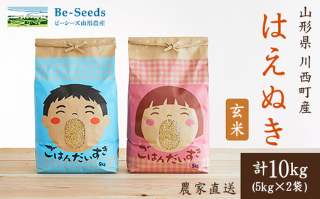 令和7年産　山形県産　はえぬき　玄米　10kg_米 こめ 玄米 はえぬき 山形県 ブランド米 産地直送 人気 おすすめ 贈答 ギフト プレゼント 送料無料 お取り寄せ お米 ごはん_【1144538】